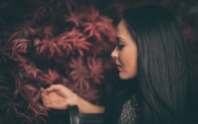Dickes, kräftiges Haar – die perfekte Pflege